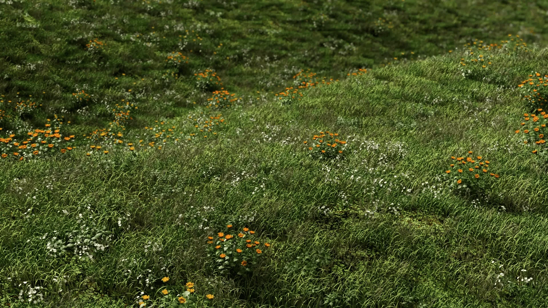 Moving Garden